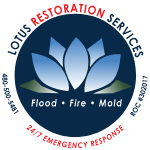 Lotus Restoration
