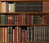 Luminous Library: Where Stories Ignite