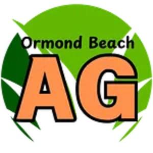 Ormond Beach Artificial Grass Partners