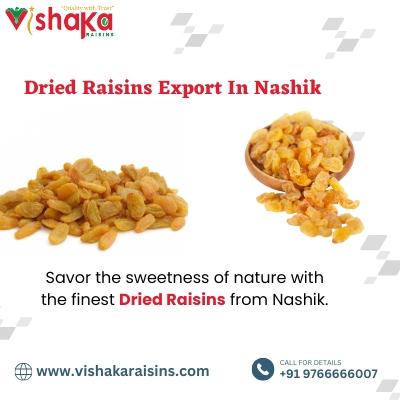 Premium Dried Raisins from Nashik Trusted Exporters to the World
