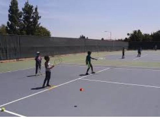 Professional Private Tennis Instructor for All Skill Levels