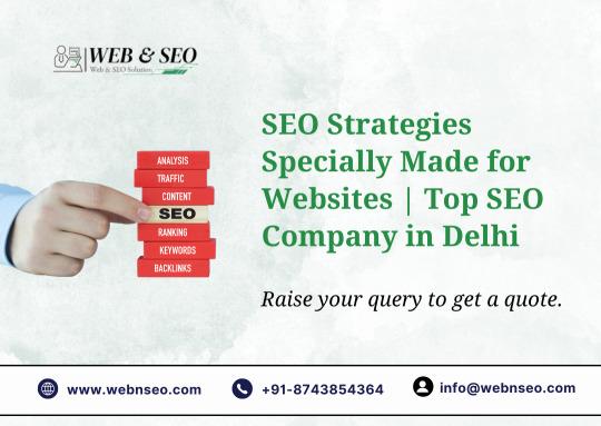 SEO Strategies Specially Made for Newly Launched Websites | Best SEO Company in Delhi
