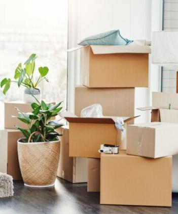 Storage Solutions Bloomington IL