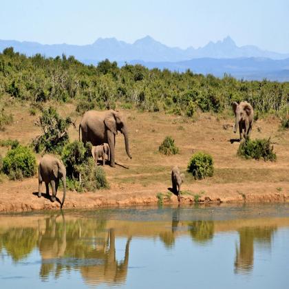 The Reputable Tanzania Tour Operator You Can Rely On
