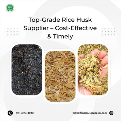 Top-Grade Rice Husk Supplier – Cost-Effective & Timely
