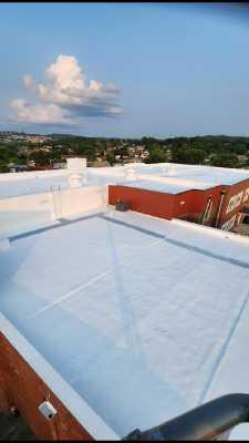Tru-Green Roofing