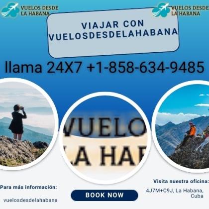 united airlines santo domingo teléfono +1 858 634 9485 (OTA)