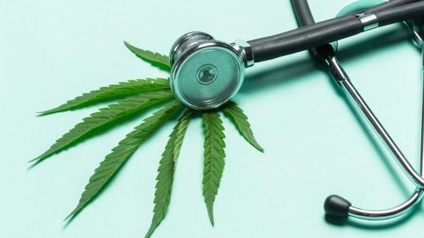 Virginia medical marijuanas card renewal
