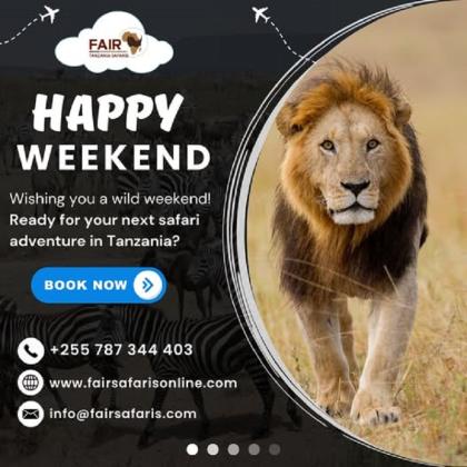 Your Reputable Tanzania Tour Operator