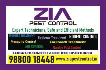 Zia Pest control | Rat Lizard pest control | Upto 25% Off for Restaurent | 6095
