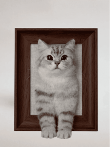 Custom Felted Pet Portraits – Your Furry Friend, Forever in Wool!