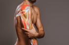 Back Pain College Park