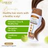 Buy Ayurvedic Anti Dandruff Shampoo at Origen Living