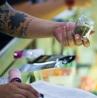 Buying Pot in Las Vegas