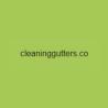 Cleaning Gutters