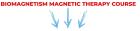 Curso de biomagnetismo