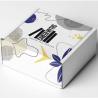 Customizable Deluxe Literature Mailer Box with Tab Locking Design