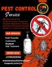 Don’t Let Pests Take Over – We’ve Got You!