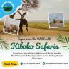 Experience the Best of Tanzania Safari Tours