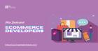 Expert eCommerce programmers