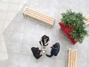 Expert Grout and Tile Cleaning Services in South Tampa