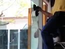 Frameless shower doors services near me | OK GLASS AND MIRROR