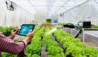 Greenhouse Management Software