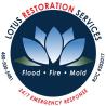 Lotus Restoration