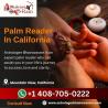 Palm Reader In California
