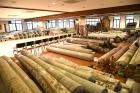 Premium Carpets to Elevate Your Home Décor | Saraswati Global