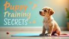 Puppy Training Secrets: How to Stop Bad Behaviors Fast