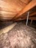 Reliable Attic Insulation Company Serving the Oakland Area