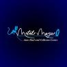 Metal Majic Auto Hail and Collision Center