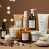 Unlock the Benefits of Natural Wellness with Wikka’s Aromatherapy & Skincare Range