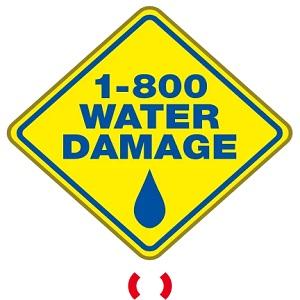 1-800 WATER DAMAGE of South Central N J