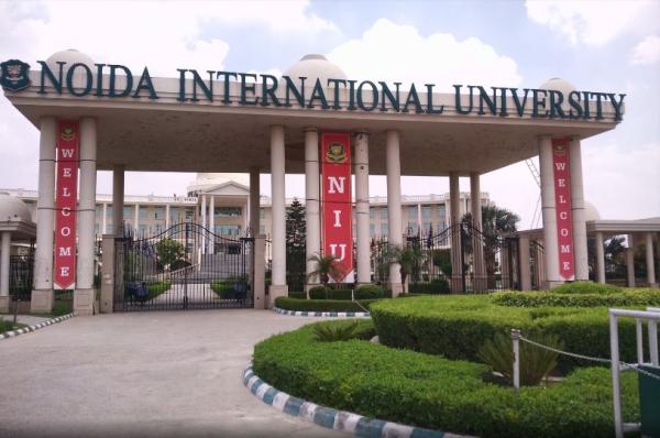 Noida International University Best University in Greater Noida Call 9800180290