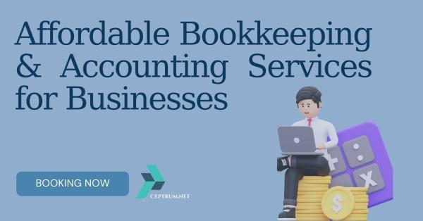 Affordable Bookkeeping & Accounting Services for Businesses
