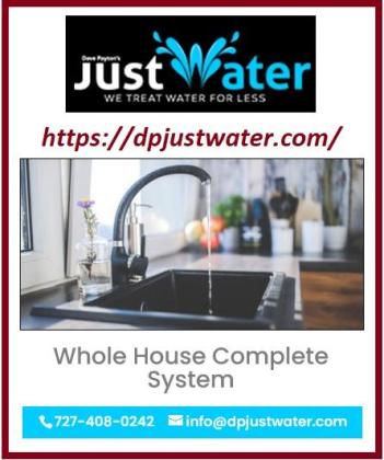 Affordable home water system repair services in Tampa