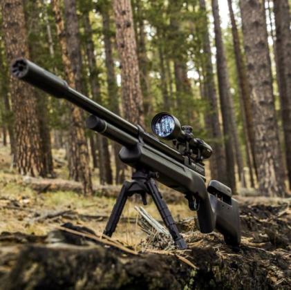 Air gun suppressor