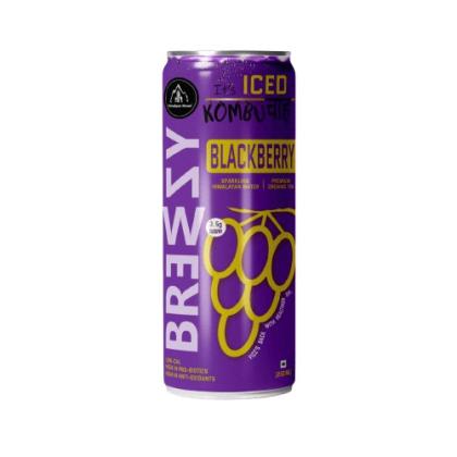 Blackberry Kombucha – Fresh, Fizzy, and Full of Benefits!