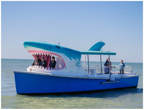 Book Private Dolphin Tours with Shark Boat in Madeira Beach!