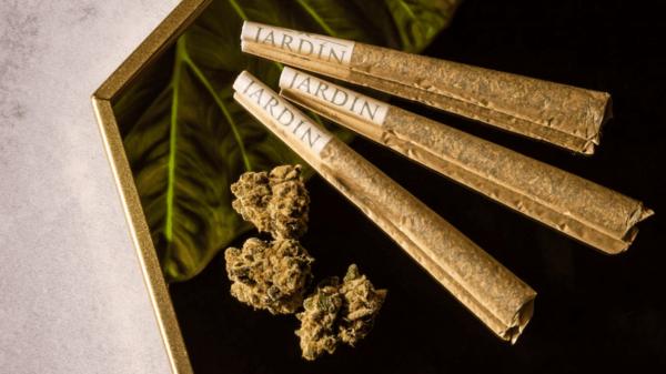 CBD pre rolls near me in Las Vegas