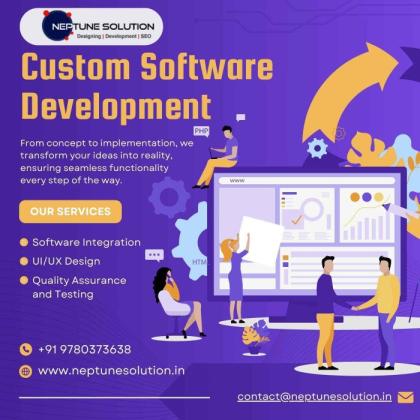 Custom Software Development Company in Chandigarh