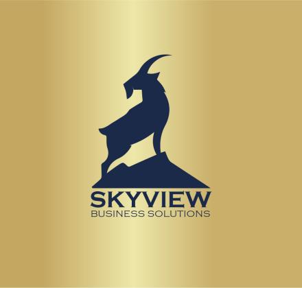 Custom Software Development Company in Noblesville - Skyview Business Solutions i