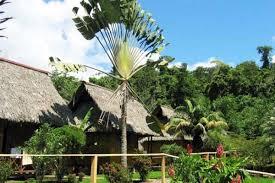 Cuyabeno Amazon Tour Ecuador Escape