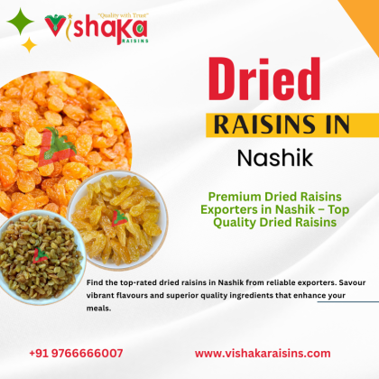 Dried Raisins in Nashik - Quality Exporters
