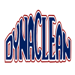 DynaClean Professional Services