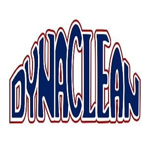 DynaClean Professional Services