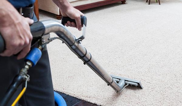 Expert Carpet Cleaning Services in Brisbane