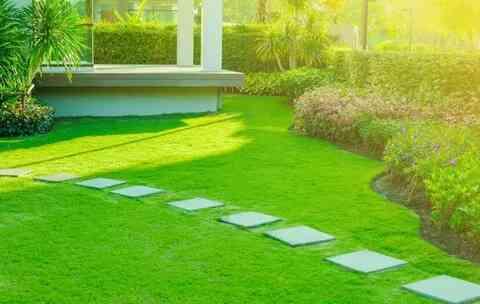 Expert Lawn Care & Landscaping Solutions in Gonzales, LA